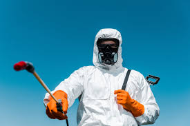 Professional Pest control in Buford, GA